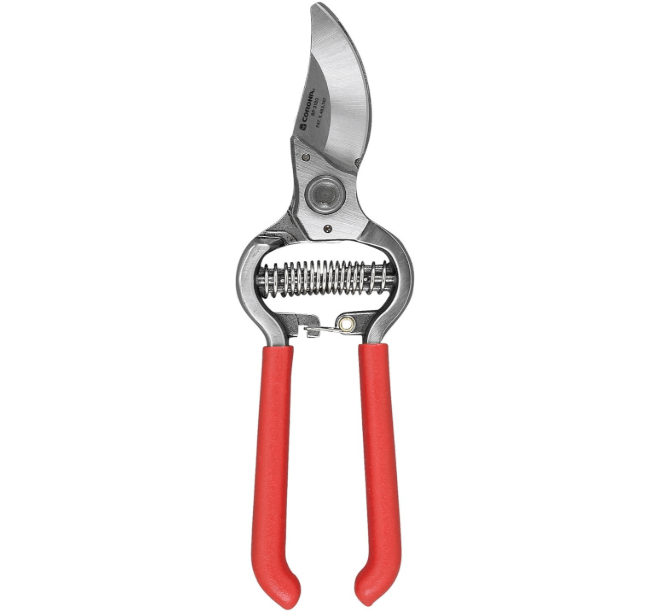 Corona BP 3180D Forged Classic Bypass Pruner with 1 Inch Cutting Capacity, 1", Red
