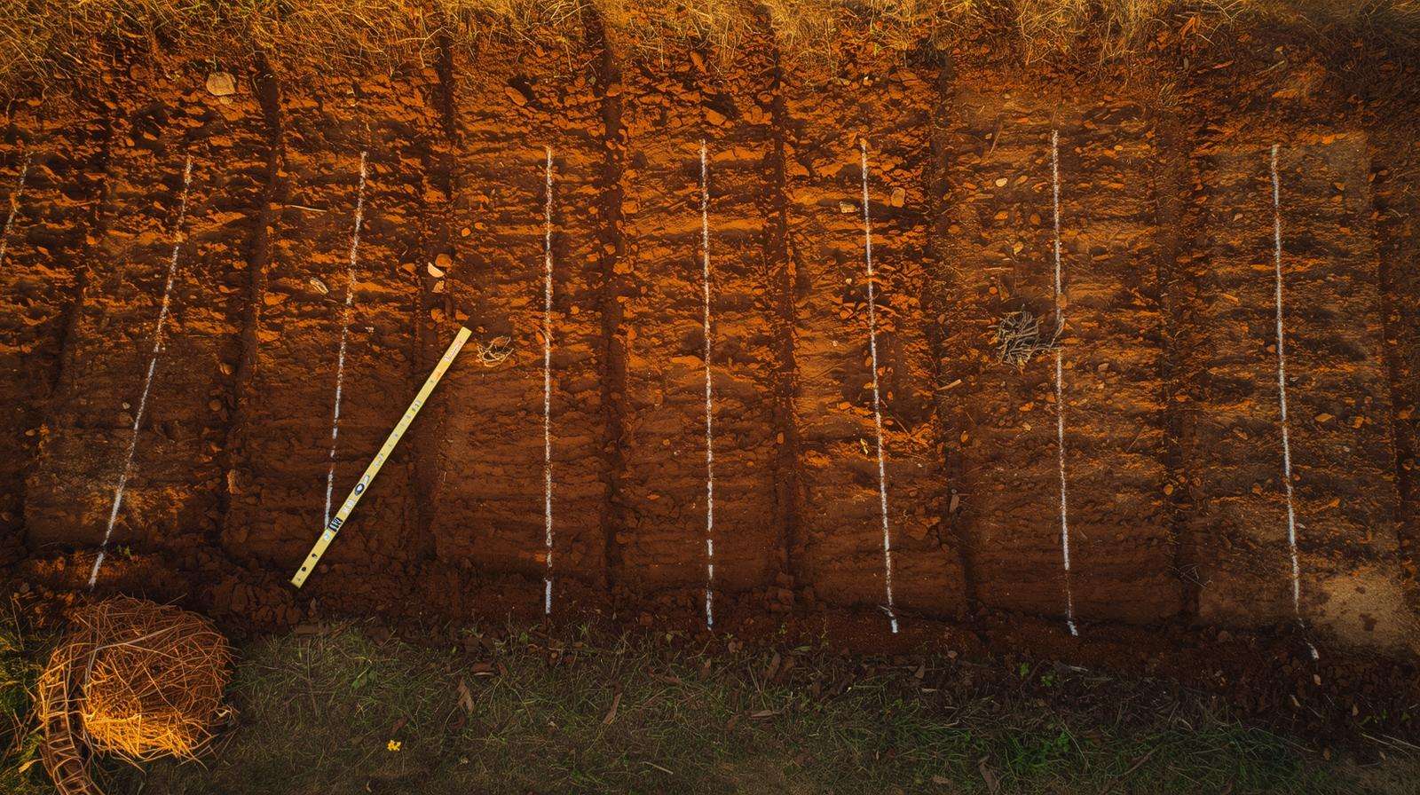Perfect on-contour swale layout ready for a swale park food forest — marked with A-frame and laser.