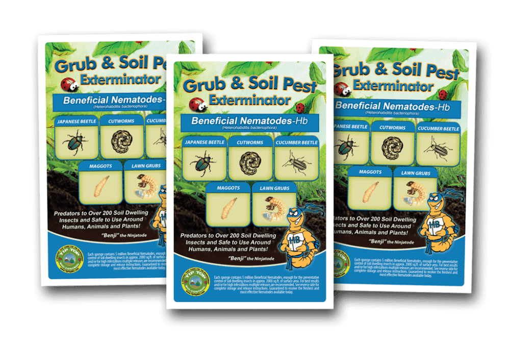 Beneficial Nematodes – HB – (General Beneficial Nematodes)