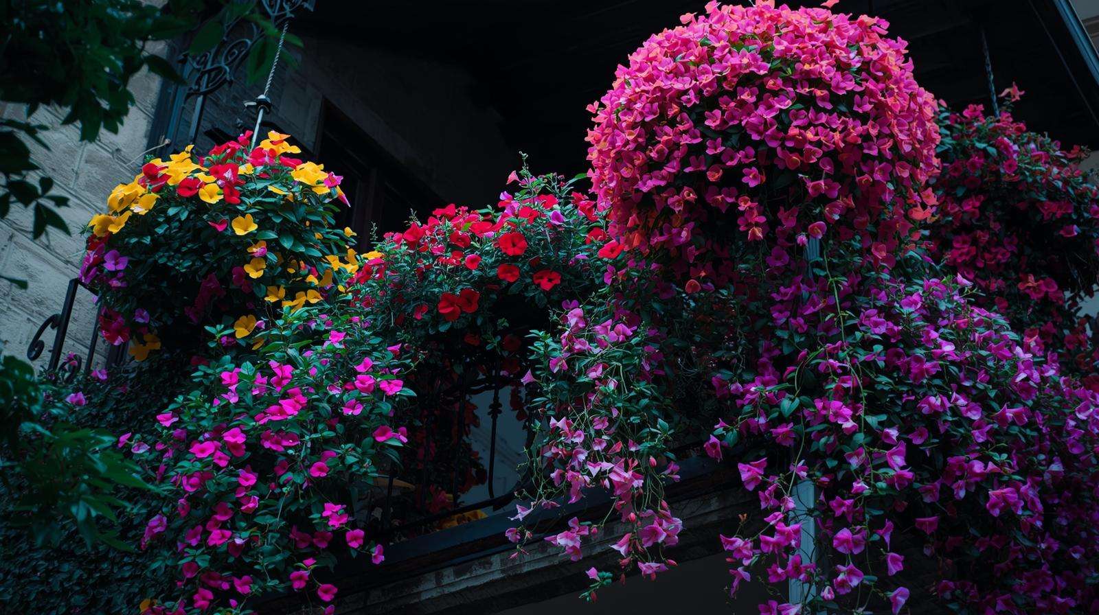 Shade or Part-Shade Balcony Ideas for Shady Spaces