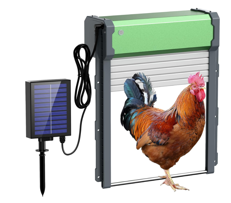My Favorite Chicken Automatic Coop Door