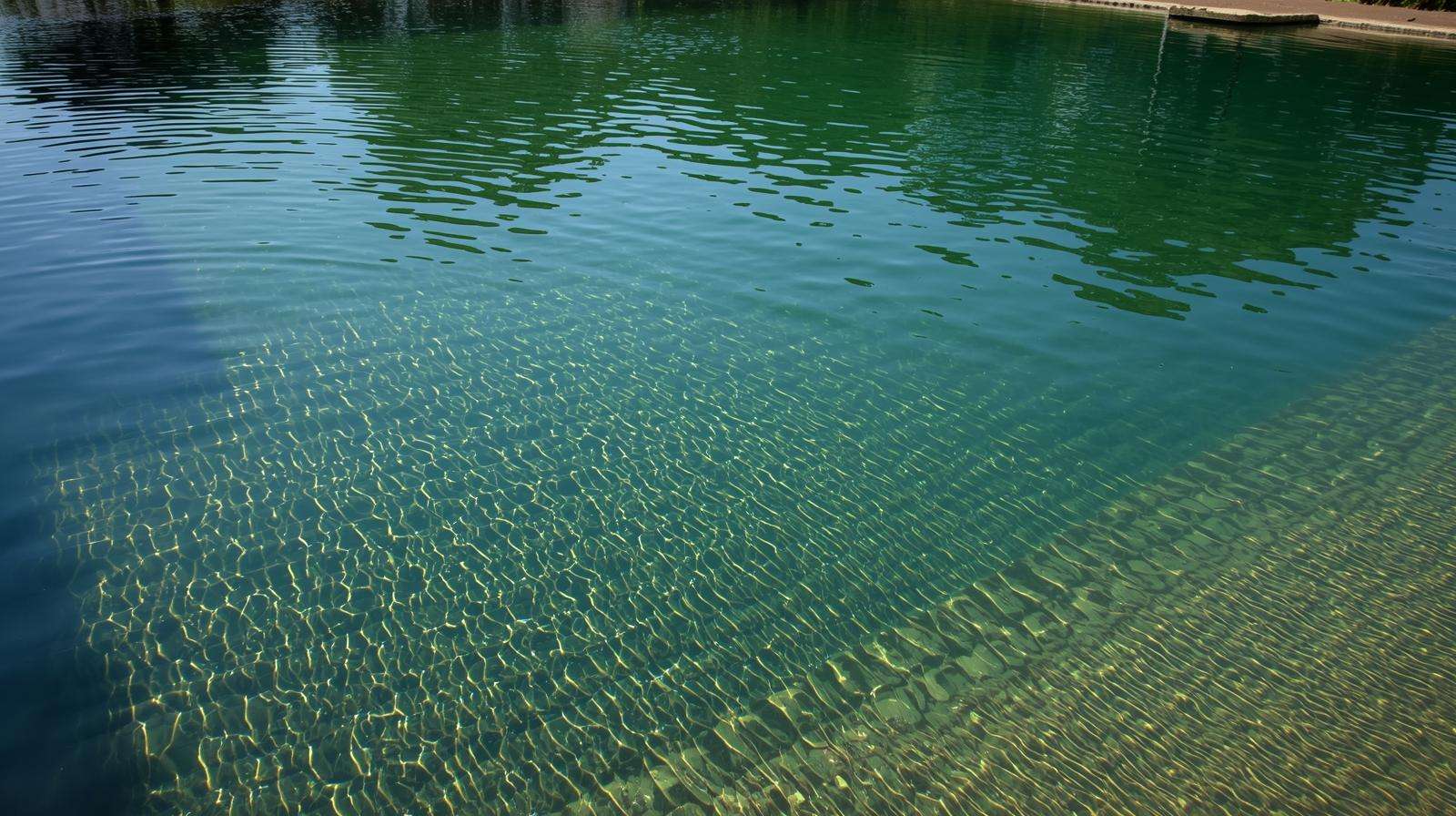  Sloped duck pond design that helps water stay cleaner longer