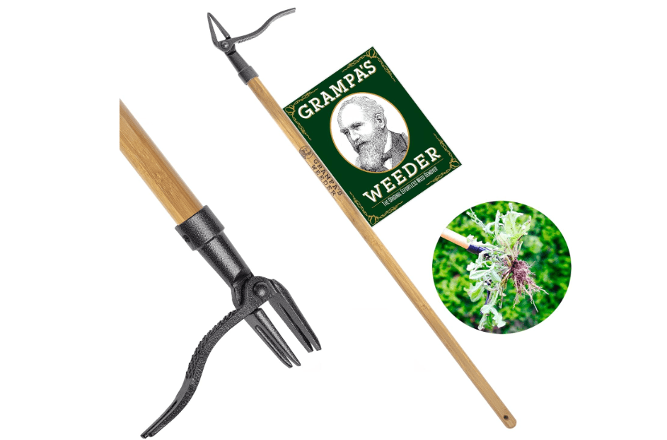 Grampa's Weeder - The Original Stand Up Weed Puller Tool with Long Handle - Made with Real Bamboo & 4-Claw Steel Head Design - Easily Remove Weeds Without Bending, Pulling, or Kneeling.
