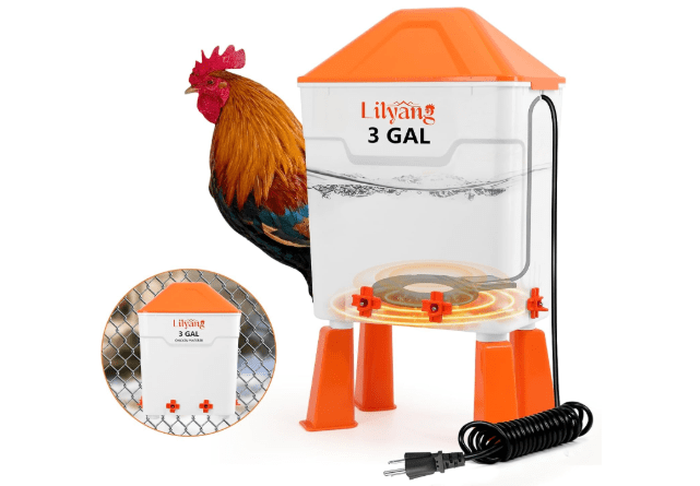 Lilyang Heated Chicken Waterer 3 Gallon, 250W Chicken Water Heater with Thermostat Control, Freeze-Proof Poultry Drinker for Winter, Hanging/Standing Use
