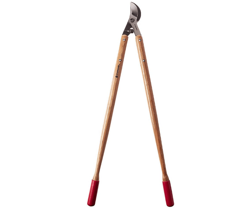 Corona WL 6470 ClassicCUT Bypass Lopper, 36-Inch 