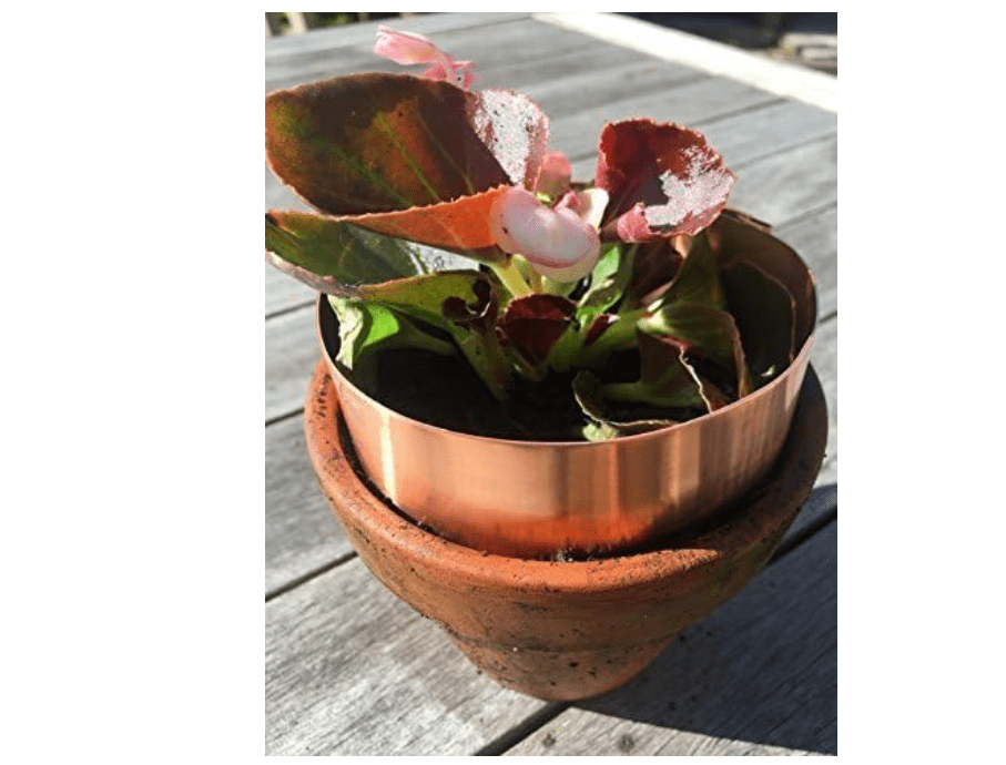 Five Minute Fit 3 x Copper Slug Band Rings 12inch/30cm diameter to repel slugs snails
