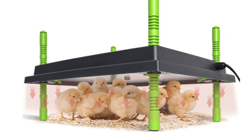 Shaledig Chick Brooder Heater Plate, 12"x16" Warmer Brooder Plate for Chicks with Adjustable Height & Temperature Display, 30W Temperature Control Brooder Heating Plate for 40 Baby Chicks Duck
