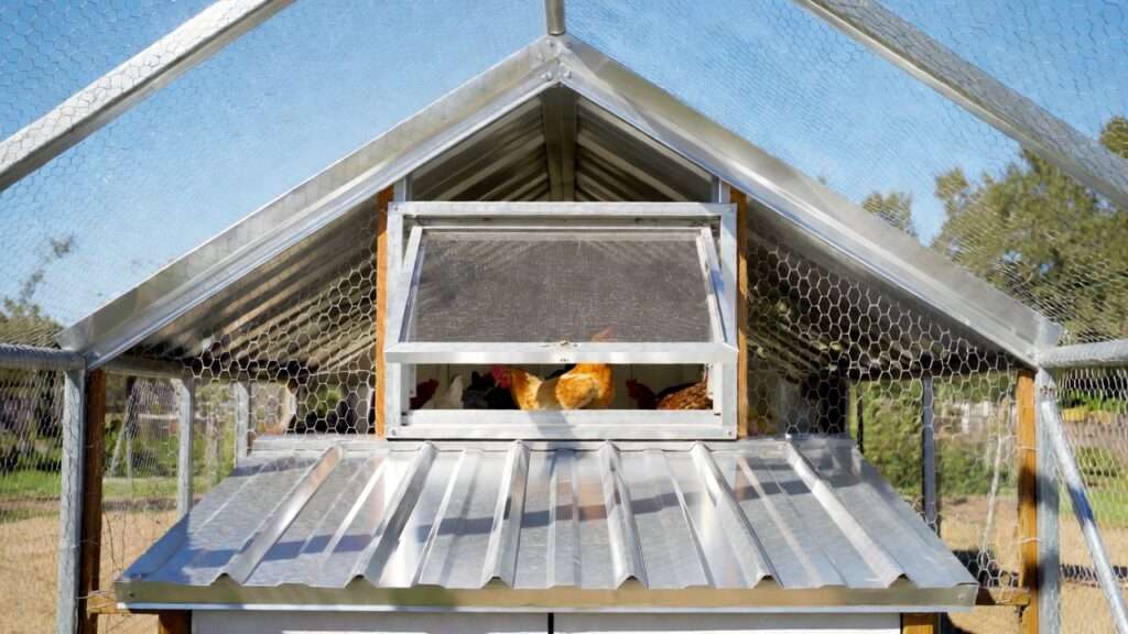 Ventilated elevated chicken coop with ridge vent and mesh sides for passive summer cooling.