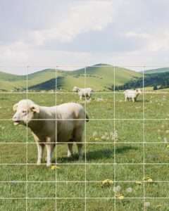 9GA Thickened Heavy Duty Cattle Farm Fence, 4 ft x 328 ft Galvanized Goat Deer Fence, Heavy Zinc Coating Hog Wire Fencing for Farm Livestock Animals Protection