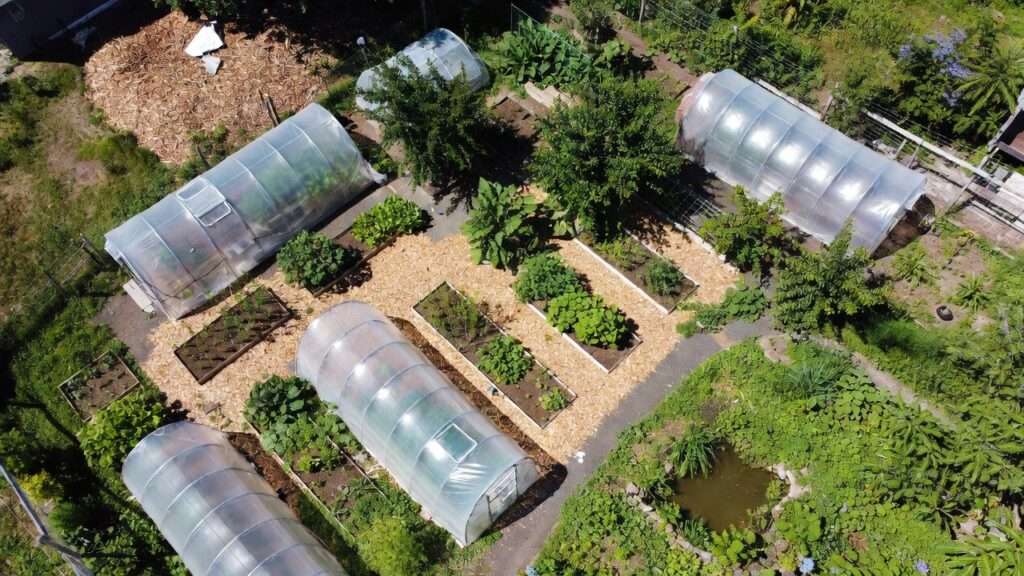 Permaculture garden with multiple budget greenhouses and diverse sustainable planting