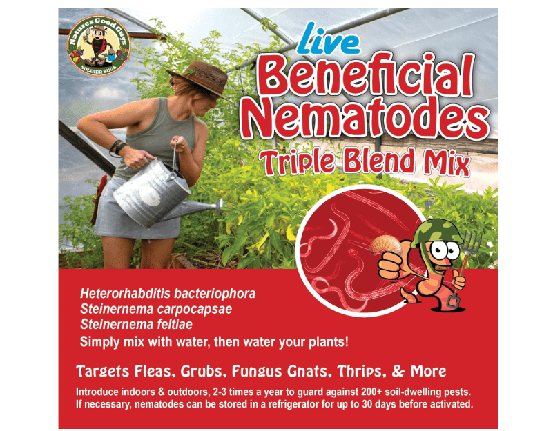 Live Beneficial Nematodes Hb+Sc+Sf - Kills Over 200 Different Species of Soil Dwelling and Wood Boring Insects. (5 Million_Nematodes)