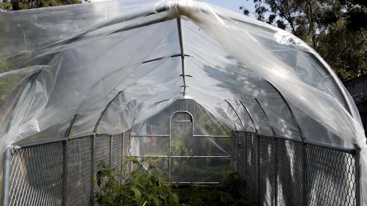DIY cattle panel hoop house tunnel covered in greenhouse plastic for extended growing season
