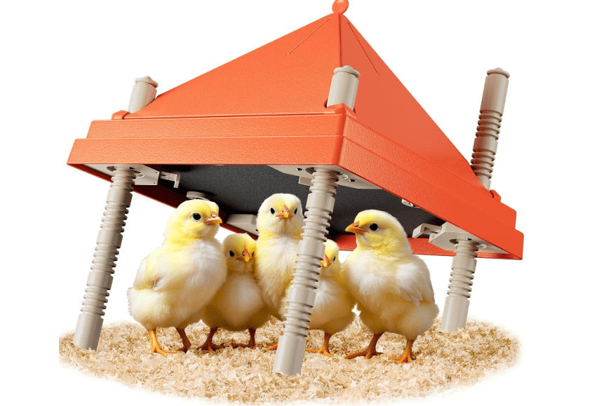 Chick Brooder Heating Plate with Anti Stand Cone 10 x 10 Brooder Heater for Chicks with Adjustable Heights
