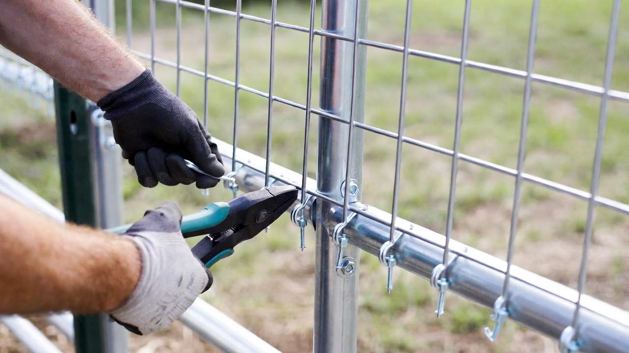 Securing cattle panel arch to T-posts with hog rings and wire for stable garden trellis support