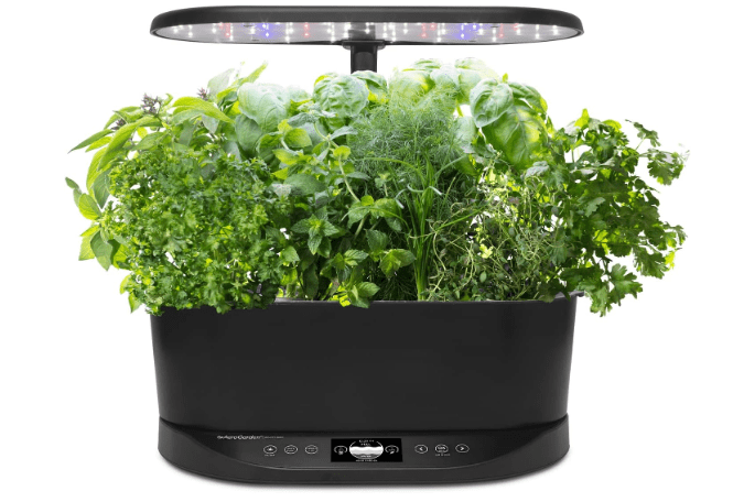AeroGarden Bounty Basic - Indoor Garden with LED Grow Light, Black