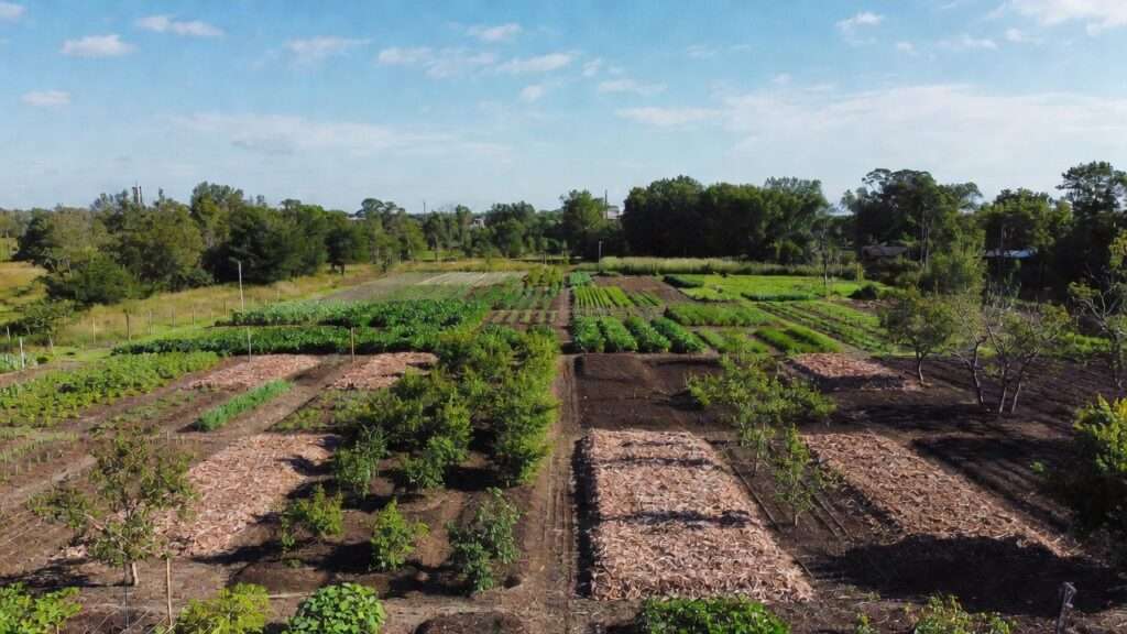 Regenerative no-till homestead garden with perennials and cover crop mulch for long-term off-site success