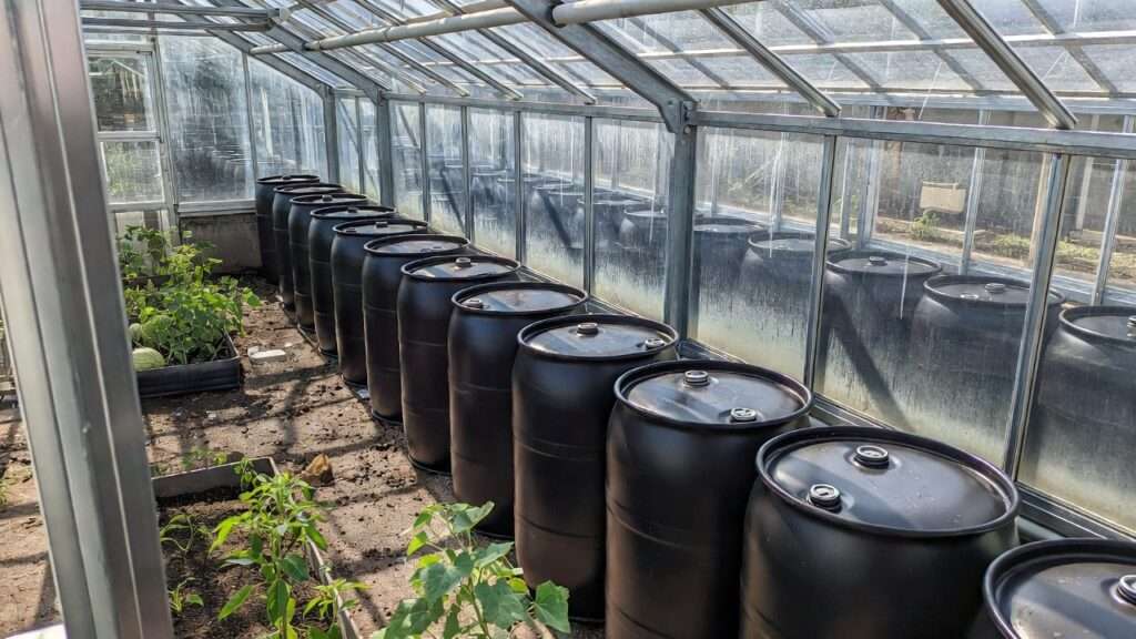 Realistic photograph of melon vines trained vertically on sturdy trellis netting inside a small greenhouse, heavy fruits supported by fabric slings, green leaves and tendrils climbing up, drip lines visible at base, bright natural light, detailed and organized growing method, no text, 16:9 aspect ratio --ar 16:9 --stylize 200
