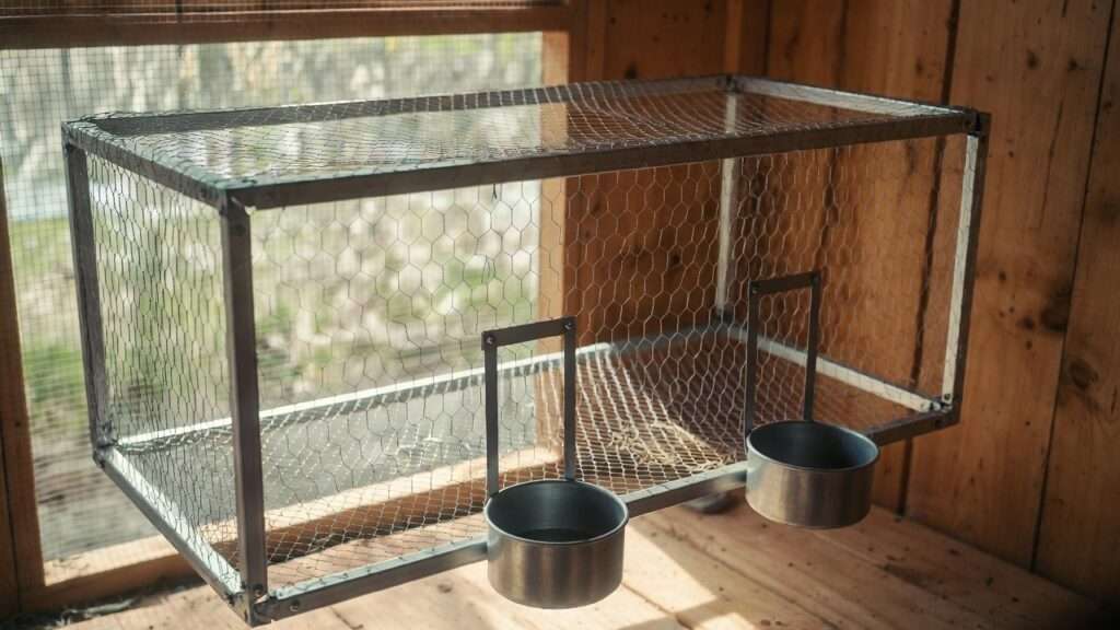 Wire bottom broody breaker cage setup for humanely stopping broodiness