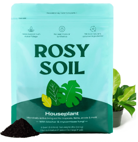 Rosy Soil Indoor Potting Soil for House Plants - Organic Potting Soil Mix for Indoor Plants - Enriched w/Root-Boosting Biochar for Foliage Plants, Flowers, Herbs - P
