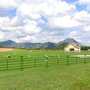 Chery Industrial 10x5 FT Cattle Panels Kit, 28 Hot-Dip Galvanized Steel Panels with Powder-Coated Finish, Heavy Duty Livestock Fence for Cattle, Horses, and Hogs