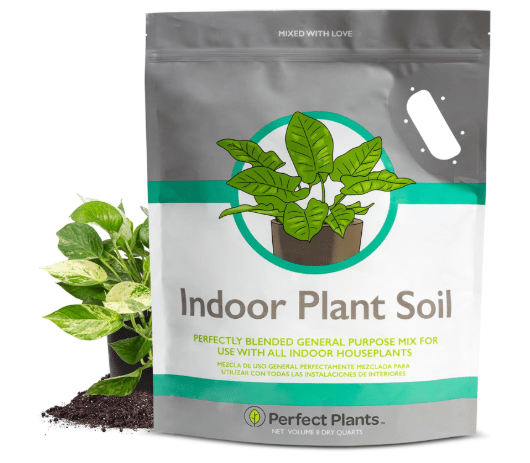 Perfect Plants Indoor Plant Soil 8qt | Perfectly Balanced Potting Mix | Gardening Substrate for All Varieties of Live houseplants