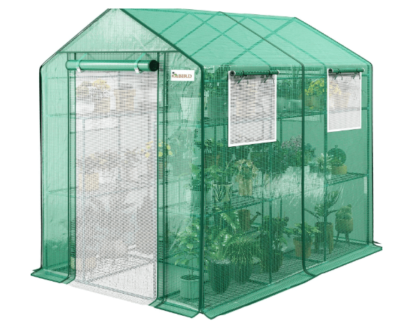 KING BIRD Premium Greenhouse for Outdoors, 84x56x77 in Walk-in Hot House with Thickened Cover,