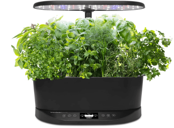Best budget-friendly hydroponic bundles
