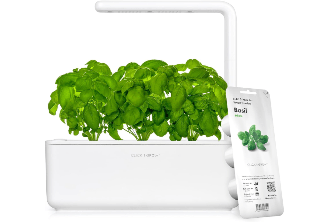 Best budget-friendly hydroponic bundles