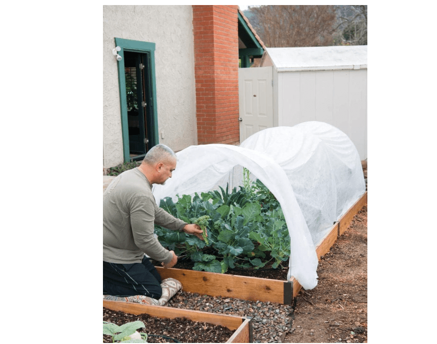 Gardener's Supply Company All Purpose Garden Fabric Plant Cover | Outdoor Raised Garden Bed Greenhouse Blanket Protection Against Winter Frost, Extreme Heat, and Reusable Pest Barrier | 12 ft X 20 ft
