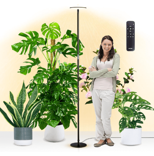 chiphy 85" Tall Grow Light for Large Indoor Plants, 60W Full Spectrum Plant Light with 4/8/12H Timer & Remote, 10-Level Dimmable, Height Adjustable, Ideal for Large Tall Plants & Indoor Trees