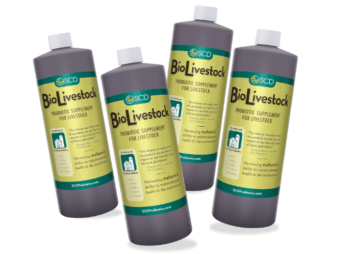 SCD Bio Livestock - Liquid Probiotic Feed & Water Additive, Organic Digestive Supplement for Cows, Pigs, Horses, Chickens, Ducks, Rabbits by SCD Probiotics
