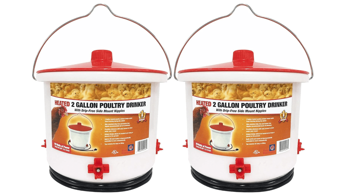 Farm Innovators 2 Pack Heated Chicken Waterer, Poultry Drinker Bucket, 2 Gallon 