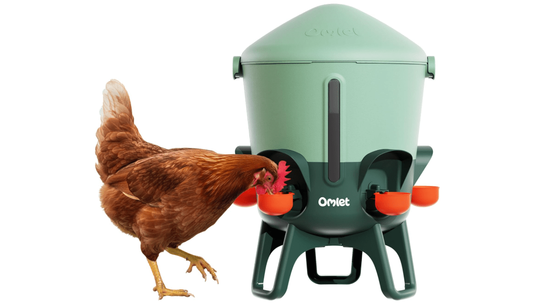 Omlet Insulated Chicken Waterer, 3 Gallon | Stay-Clean Automatic Water Dispenser for Chickens | BPA-Free | Anti-Roost Domed Lid | Includes 5 Cups & Nipples | Sage Green 