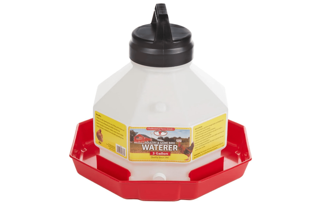 Little Giant® Plastic Poultry Waterer | Heavy Duty Plastic Gravity Fed Water Container | Easy to Fill | Snap on Jar | 3 Gallons 