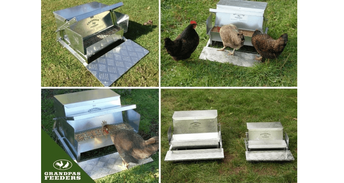 Grandpas Feeders Automatic Chicken Feeder - 40 lbs No Waste Poultry Feeder, Rat Proof & Rodent Proof Treadle Chicken Feeder, Galvanized Steel with Lid, Feeds 6-12 Chickens up to 10 Days
