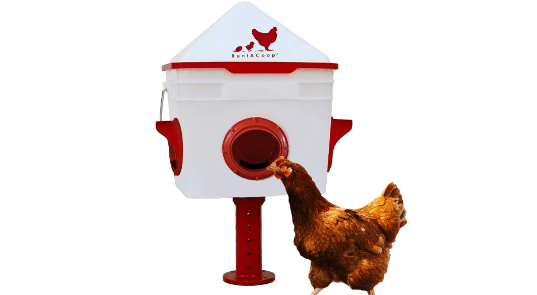 RentACoop Chick2Chicken 10lb BPA-Free 4-Medium Port Feeder - Includes Anti-Roost Cone, Slider Port Cover, Lid, Adjustable Custom Stand- Suitable for up to 20 Chicks & 12 Adult Chickens

