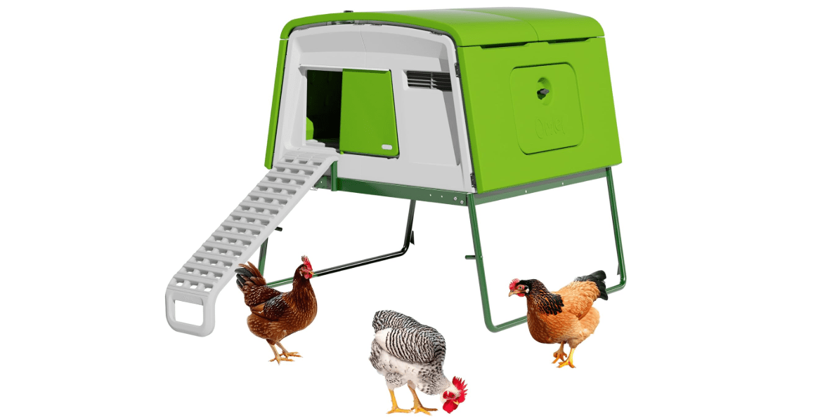 Omlet Eglu Cube Large Chicken Coop | Easy to Clean Plastic Chicken Tractor | The Most Secure Hen House for Complete Peace of Mind | Weatherproof Cool in Summer and Warm in Winter | Green 