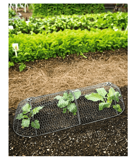 Gardeners Supply Co. Chicken Wire Crop Coop