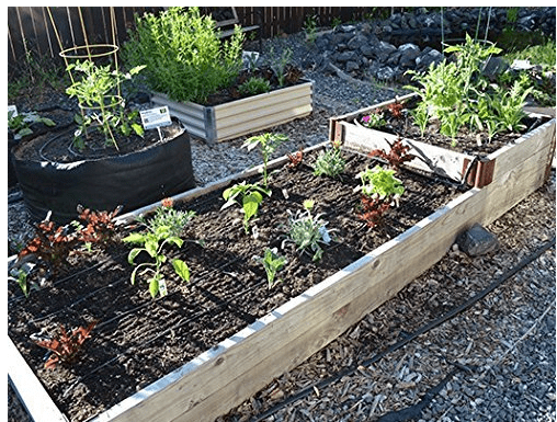 Dripworks Premium Garden Bed Irrigation Kit for Watering Plants in Raised Garden Bed - Waters Upto 9 Beds (4'x8') | Agricultural Grade Components | Trusted Brand Since 1991