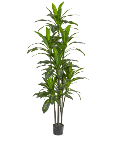 6FT Dracaena Artificial Plant - Large Tropical Indoor Fake Tree with Lifelike Leaves - Tall Faux Floor Plant in Pot for Home Office Living Room De