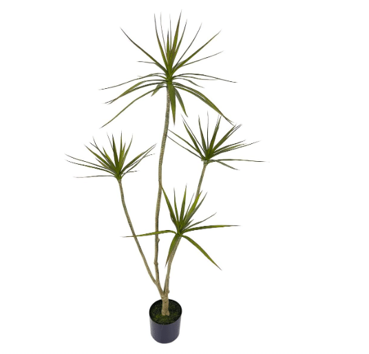 AfanD Artificial Dracaena marginata Plant,5ft Tall Fake Tree