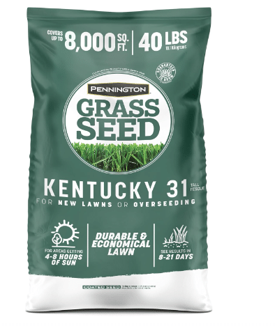 Pennington Kentucky 31 Fescue 40 LB Tall Fescue Grass Seed, Grass Seeds for Lawn