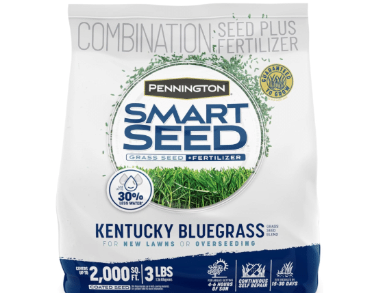Pennington Smart Seed Kentucky Bluegrass Blend, Grass Seeds for Lawn, 3lb
