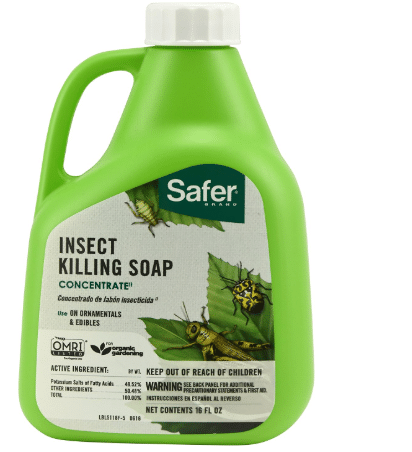 Safer 5118-6 Insect Killing Soap Concentrate - Insecticidal Soap for Plants - Kills Aphids, Whiteflies, Thrips, Spider Mites, and More - OMRI Listed for Organic Use
