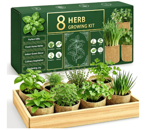 Indoor Herb Garden Kit, Culinary Herb Starter Kit with Seeds & Tools for Beginners, Kitchen Decor, House Warming Gifts for New Home, for Christmas, Ultimate Birthday Gifts for Women Men Mom Dad