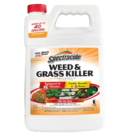 Spectracide Weed & Grass Killer Concentrate for Driveways & Walkways, 1 Gal 