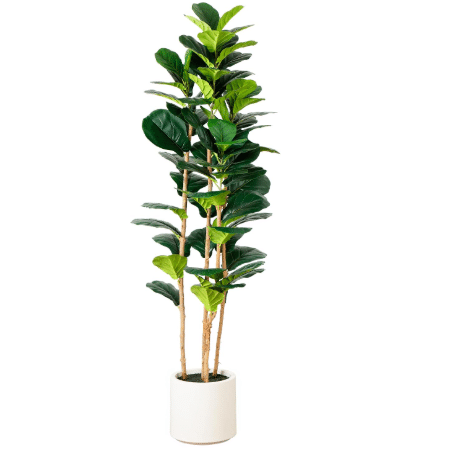 Nearly Natural 6ft. Artificial Fiddle Leaf Tree in Decorative White Planter