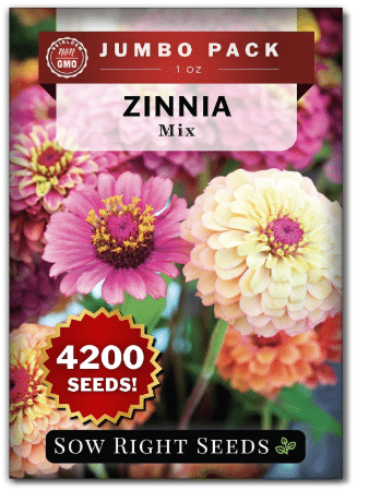 Sow Right Seeds- 4200 Mixed Zinnia Seed for Planting Bulk Jumbo Pack Flower