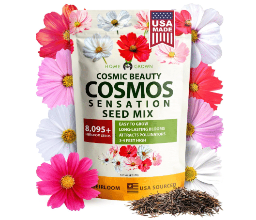 HOME GROWN Cosmos Flower Mix Seeds, 8,000+ Seeds, 1.8 oz