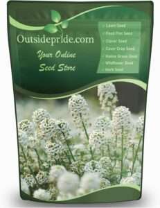 Outsidepride Perennial Sweet Alyssum Seeds - 5 lbs. White Lobularia Maritima Seeds for Ground Cover, Pollinator-Friendly Gardens, Drought-Tolerant Landscaping, Easy-to-Grow in USDA Zones 7-9